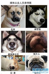 東平電視臺從業(yè)人員表情圖,！
