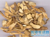 3,、玉竹滋陰養(yǎng)肺
