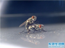 我靠，這車震偷拍的太雞巴清晰了,！