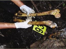 秘魯黑幫殺人煉油制成化妝品